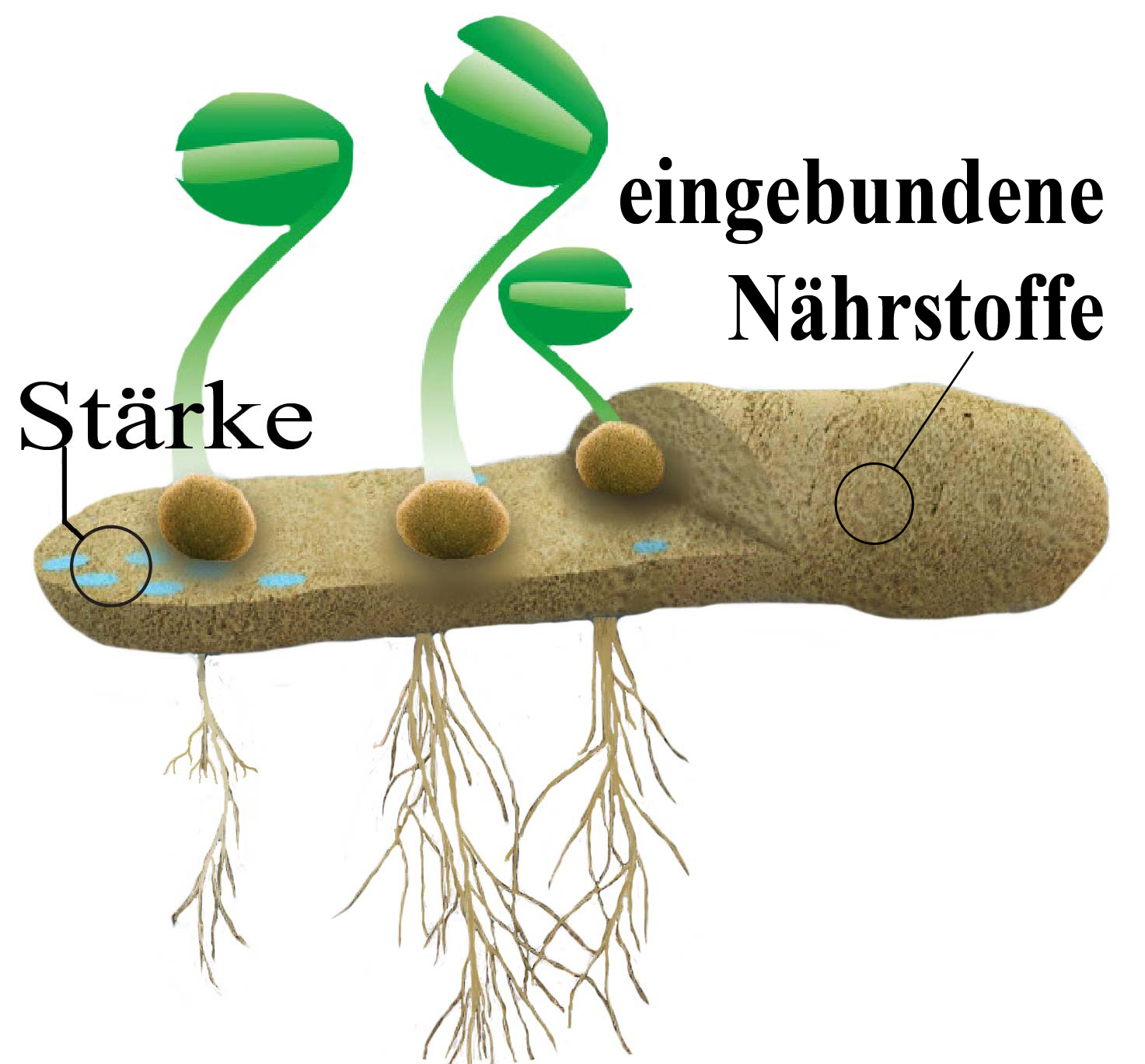 3DPellet-freigestellt-Kopie
