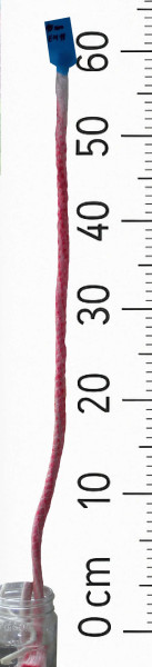 Bewässerungsdocht 10 mm